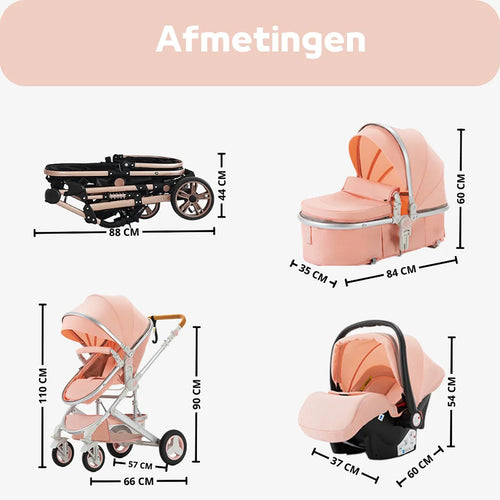 2-in-1 High View Stroller