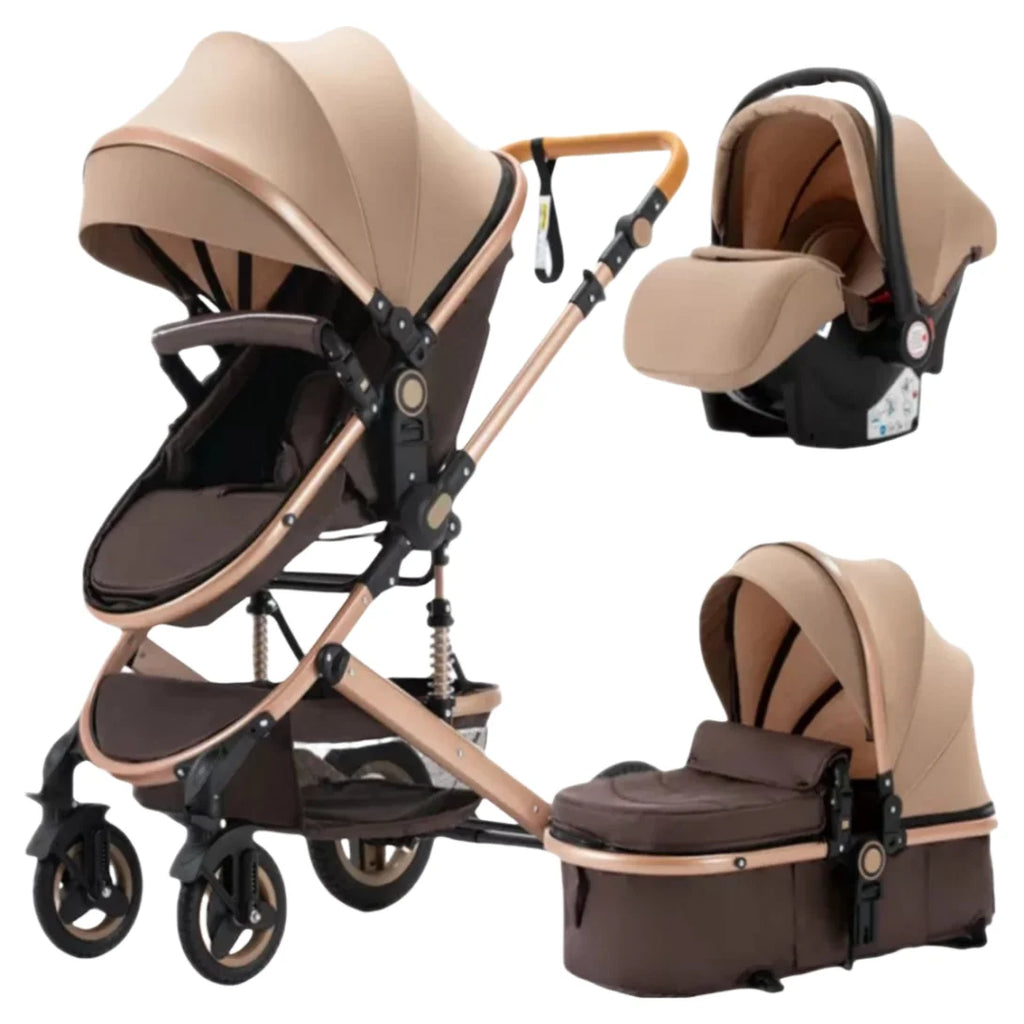2-in-1 High View Stroller